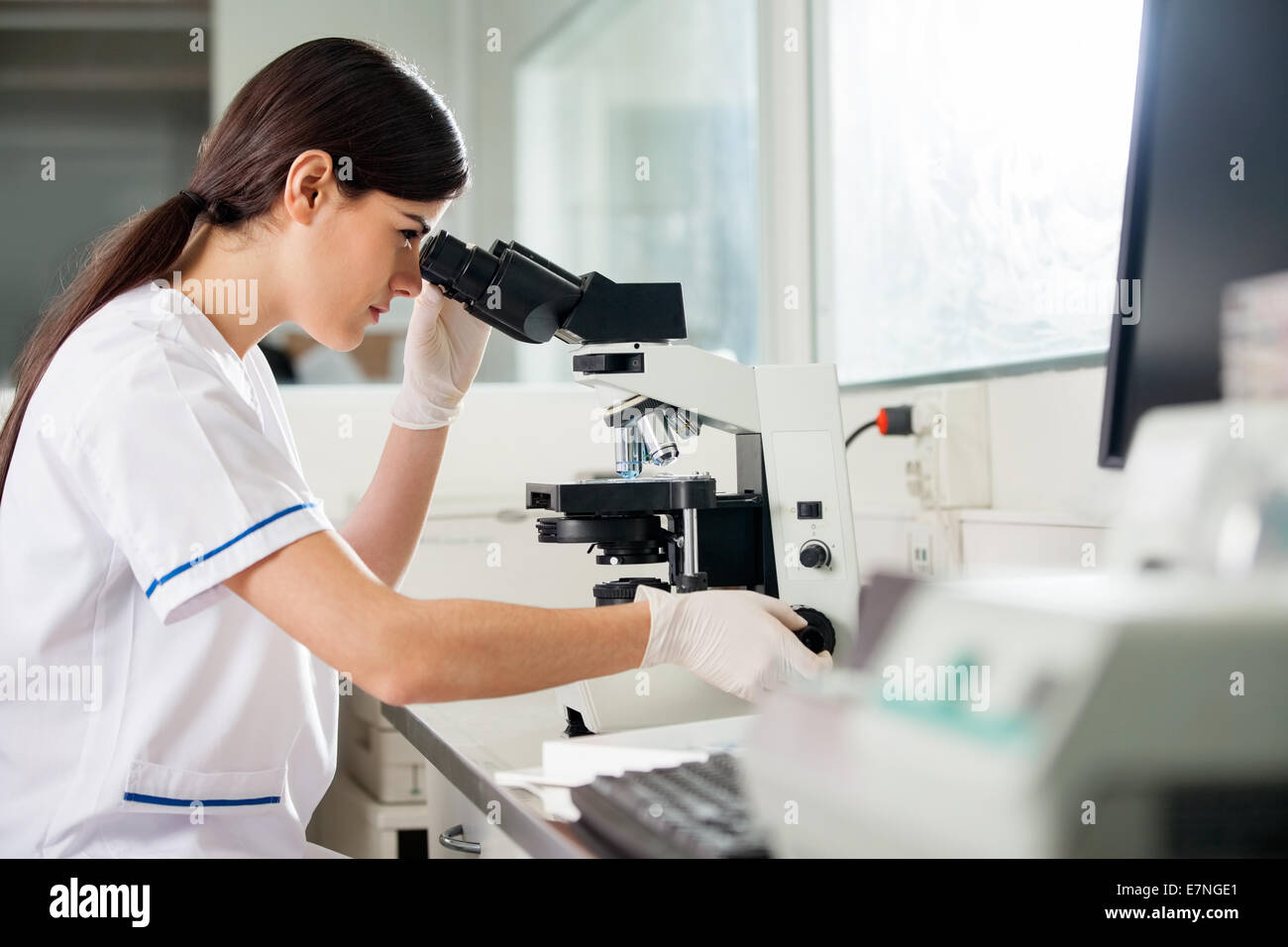 Female scientist looking through microscope Banque D'Images
