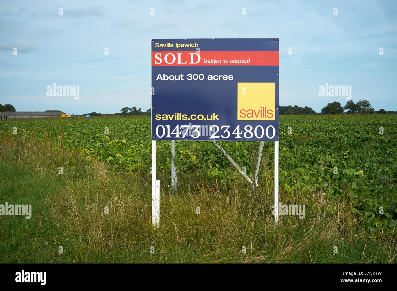 Les terres agricoles vendus par Savills d'Ipswich Suffolk UK Banque D'Images