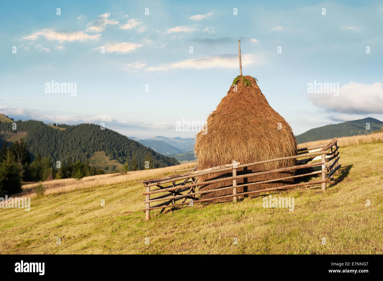 Matinée ensoleillée avec des paysages et des forêts de pins highland meules de foin sur prairie à Carpates. Une des destinations de l'Ukraine Banque D'Images