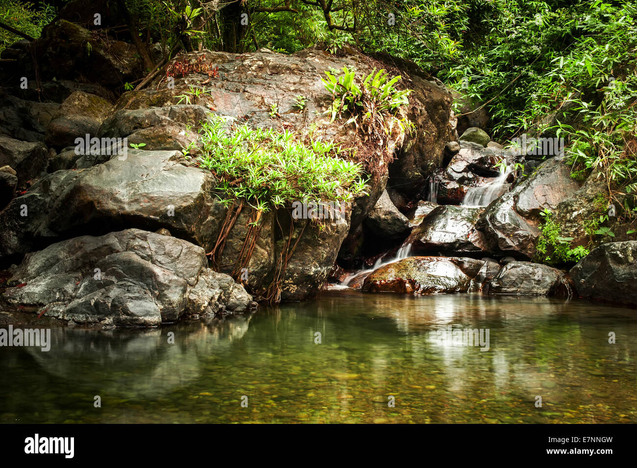 Paysage de forêt tropicale avec beau lac, petite cascade, des rochers et des plantes de la jungle. Vang Vieng, Laos Banque D'Images Paysage de forêt tropicale avec beau lac, petite cascade, des rochers et des plantes de la jungle. Vang Vieng, Laos Banque D'Images