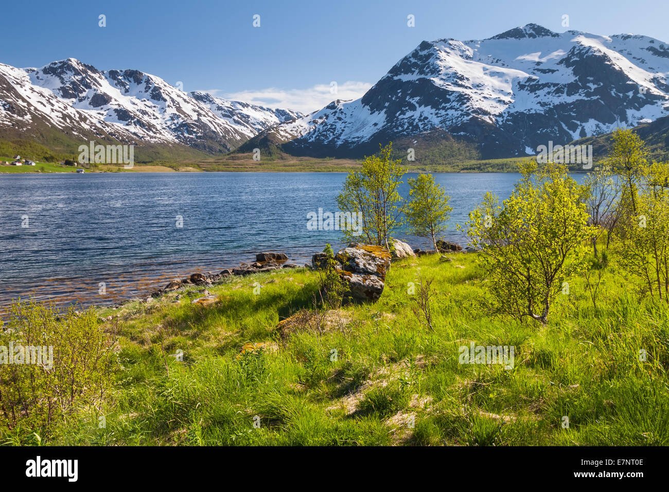 Lac de montagne propre à l'été, îles Lofoten, Norvège Banque D'Images