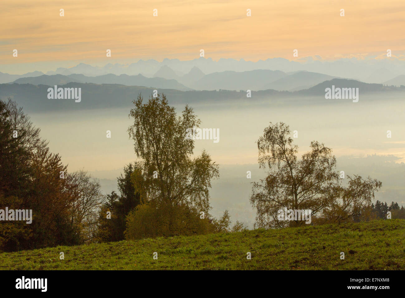 Bachtel, du lac de Zurich, vue, la chaîne des Alpes, le canton de Zurich, montagne, montagnes, la Suisse, l'Europe, Banque D'Images