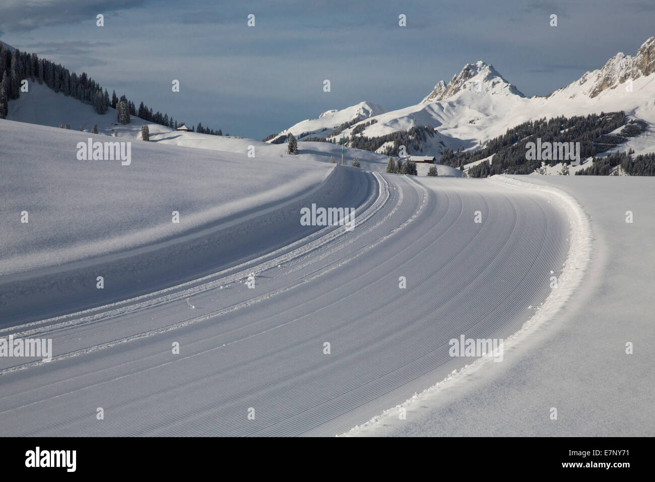 Piste de ski, montagne, Jaunpass, montagnes, Winters, canton de Berne, arbre, arbres, ski de fond, cross-countr, t Banque D'Images
