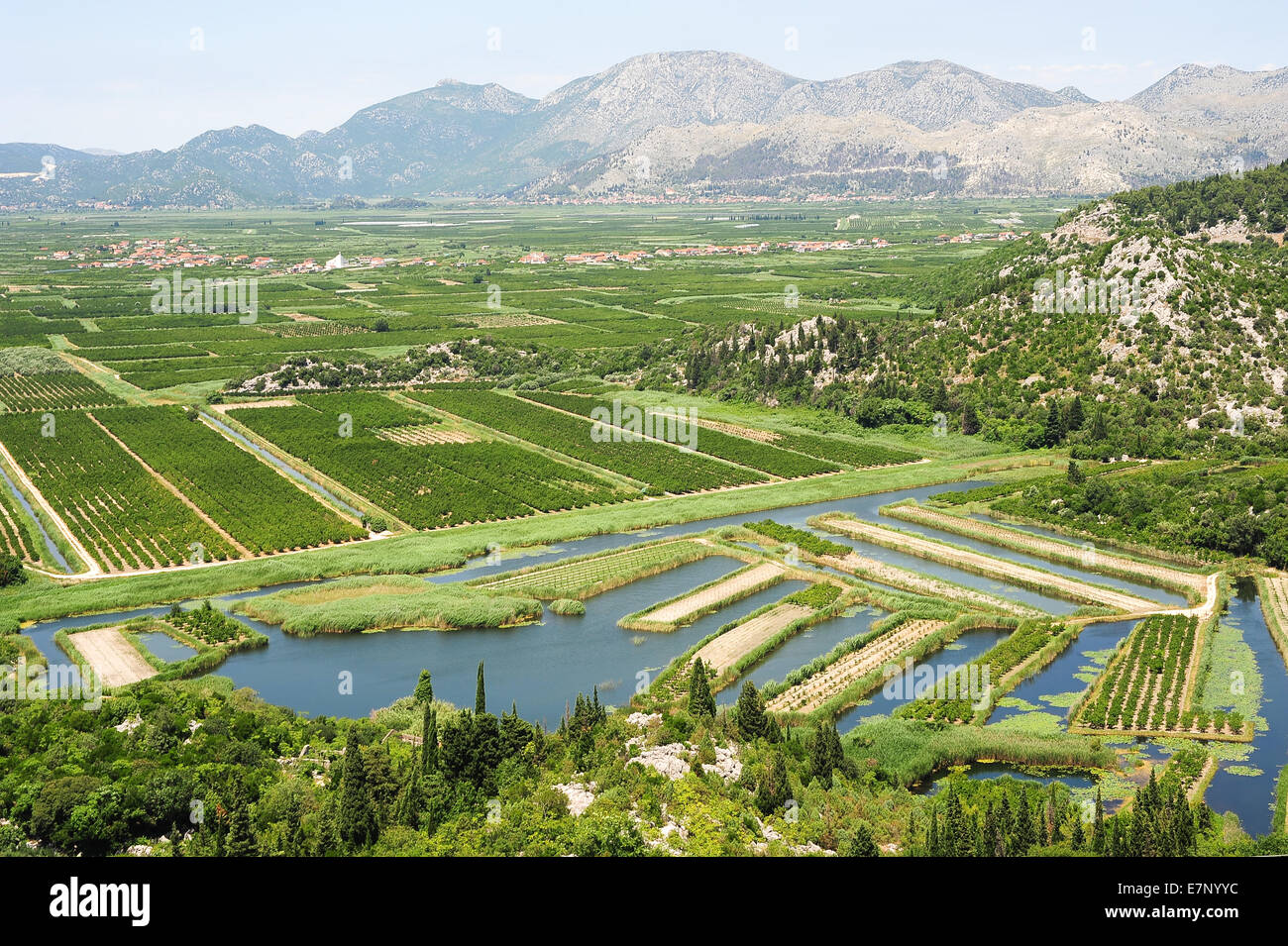 L'agriculture, de la Croatie, Balkans, Europe, culture, fruits, vert, de collines, de montagnes, d'irrigation, neretvi, rivière, paysage, paysage Banque D'Images