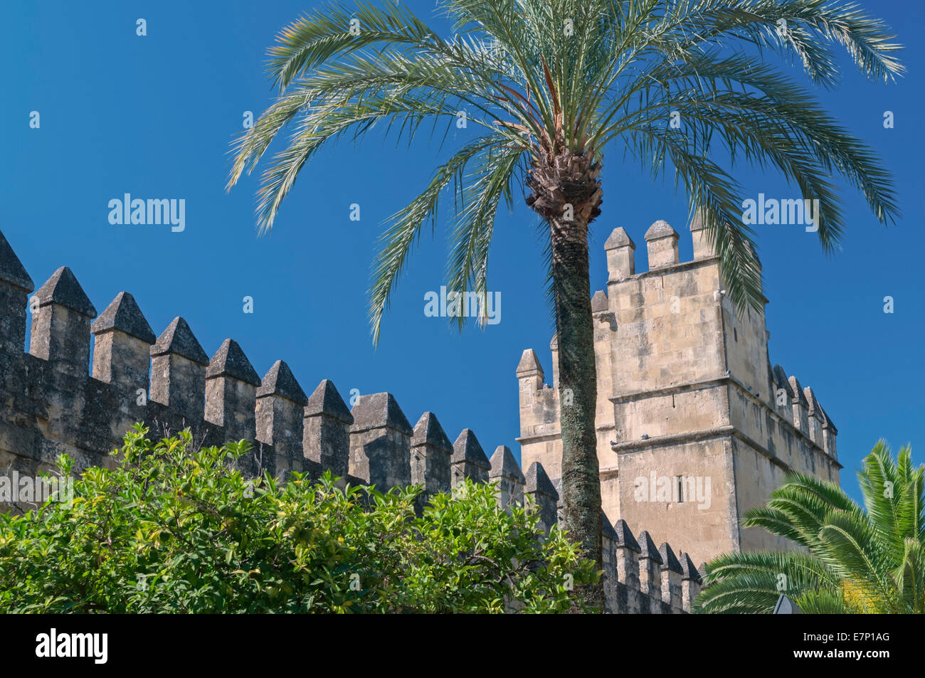 L'Alcazar Cordoba Andalousie Espagne Banque D'Images