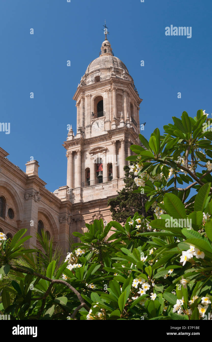 La cathédrale de Malaga Malaga Andalousie Espagne Banque D'Images