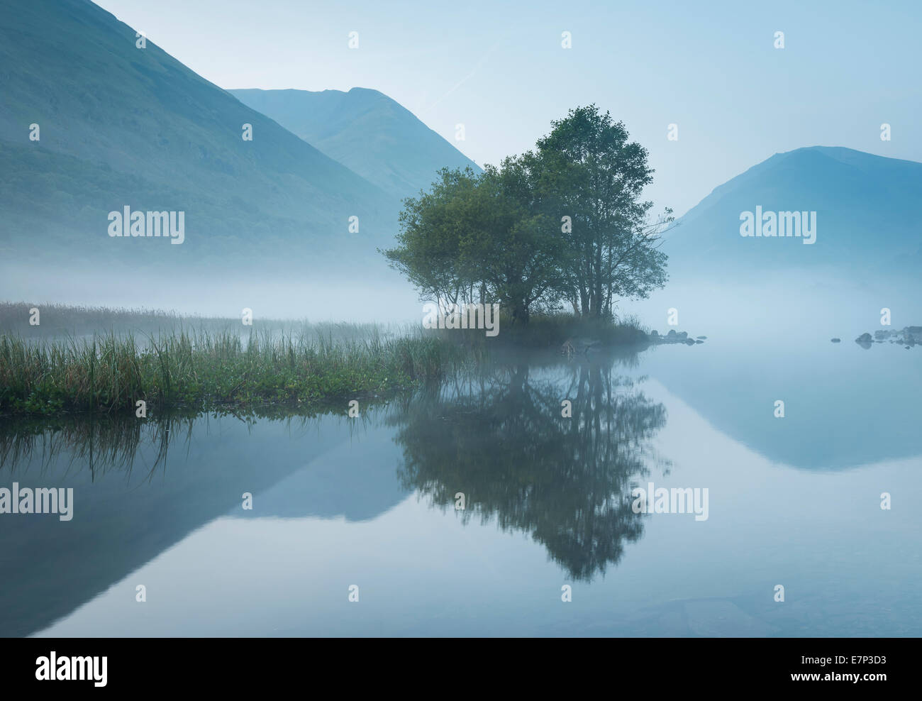 Arbre et montagne reflète dans l'eau à l'aube brumeuse Brothers dans le Lake District Banque D'Images