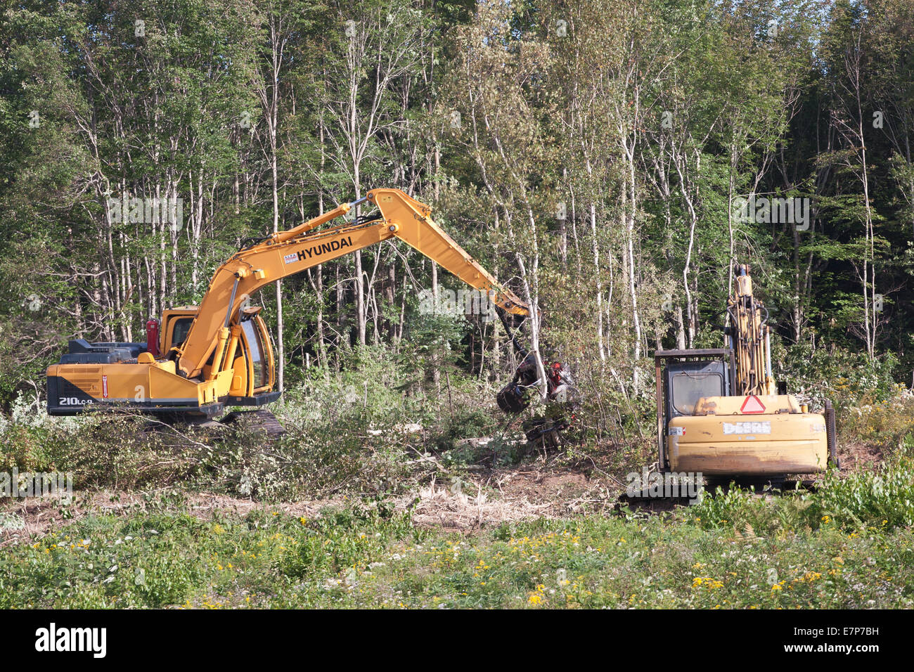 ENFIELD, CANADA - SEPT 18, 2014 : Hyundai R210LC-9 compensation processeur forêt près de Enfield, NS. Hyundai est l'un des plus grands fabricants Banque D'Images