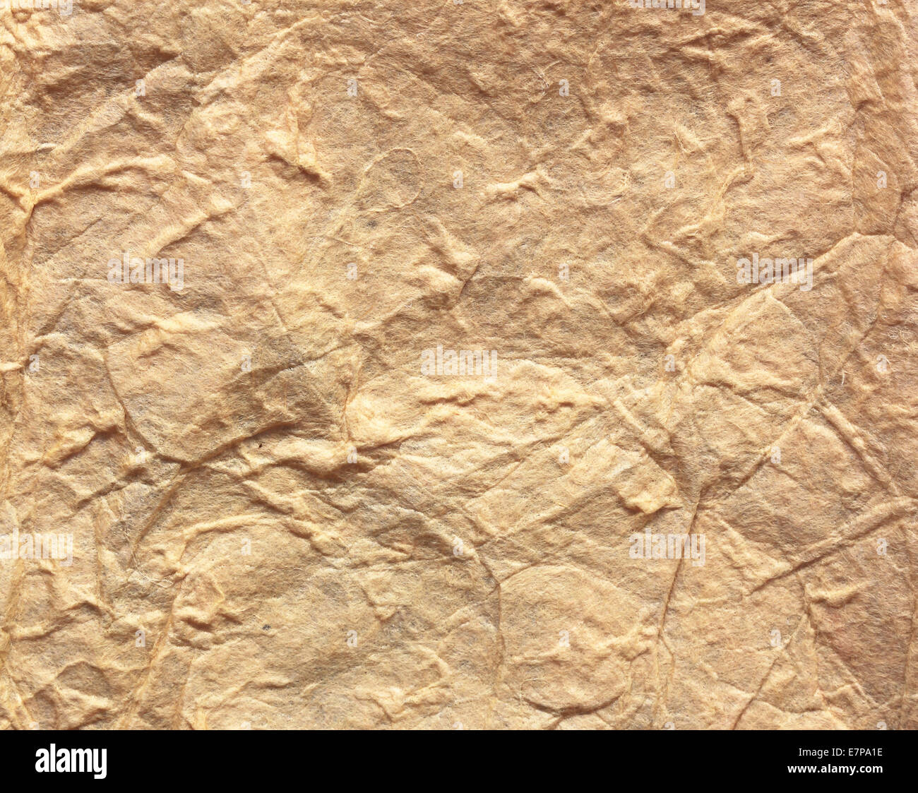 Plis soumis dan brown paper texture pattern abstract background. Banque D'Images