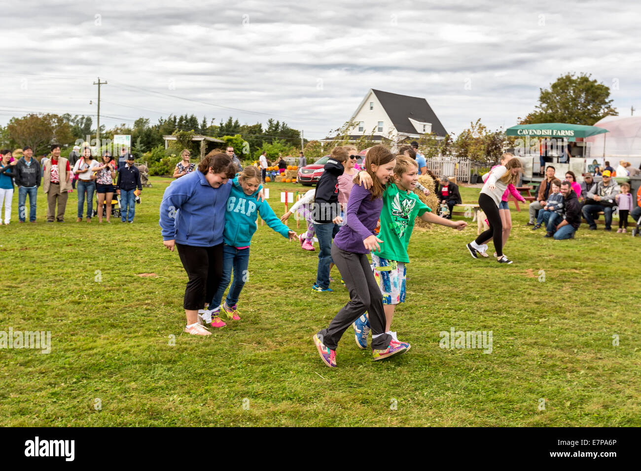 Summerside, Prince Edward Island, Canada, 21 sept., 2014. Les participants à la course de trois pattes à un événement de la Journée agricole portes ouvertes à Summerside, Î. L'événement de la Journée agricole portes ouvertes est organisé chaque année et voir plus de 20 exploitations agricoles de l'Île du Prince Édouard ouvert au public offrant des activités amusantes et interactives pour en apprendre davantage sur la vie à la ferme. Credit : Verena Matthieu/Alamy Live News Banque D'Images