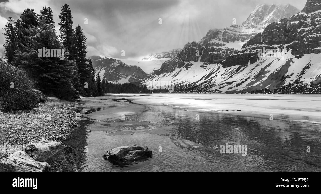 Promenade des glaciers, Banff National Park, Alberta, Canada, Amérique du Nord. Banque D'Images