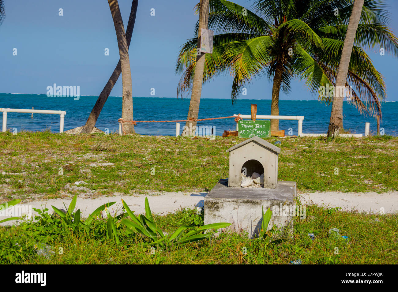 Cimetière à Caye Caulker Belize Banque D'Images