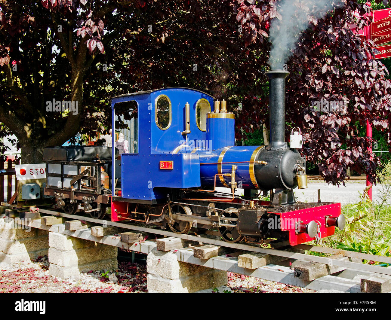 Bien fait un pouce 7,25 maquette locomotive à vapeur en démontrant les compétences de l'ingénierie des modèles de son constructeur. Banque D'Images