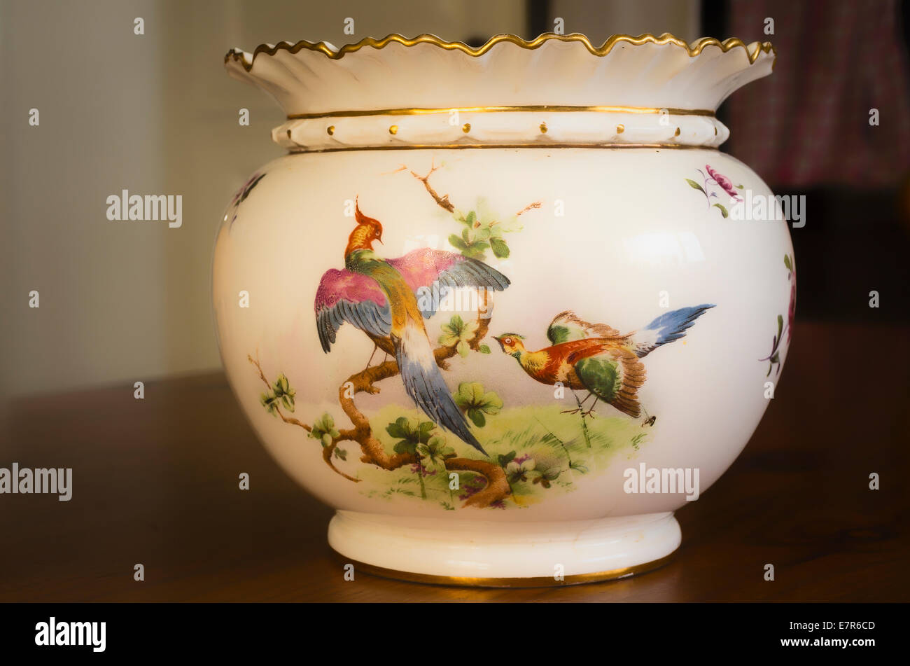Décoration oiseaux exotiques sur le côté du vase d'ornement Banque D'Images