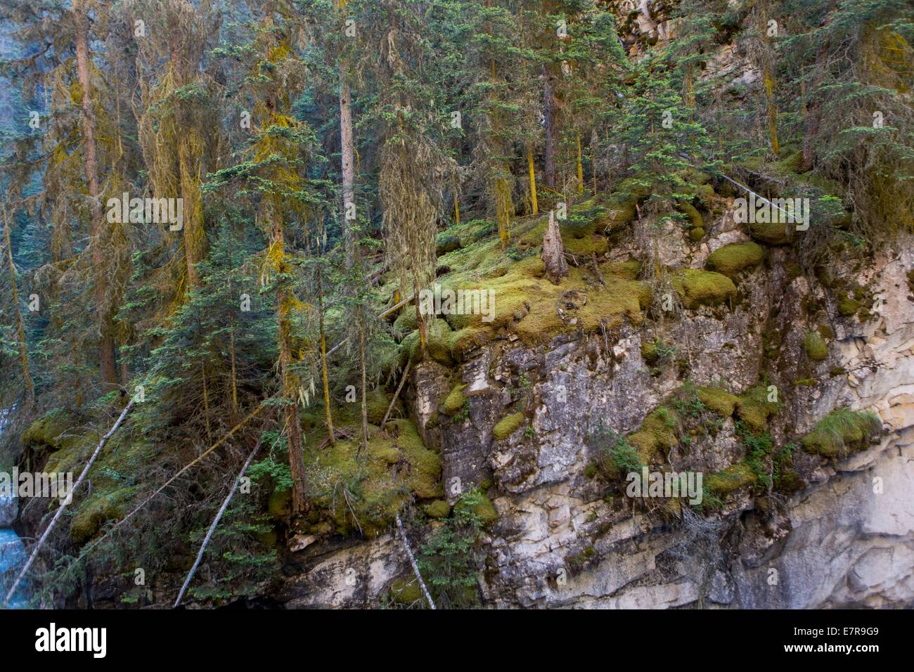 Le parc national Banff, Alberta, Canada Banque D'Images