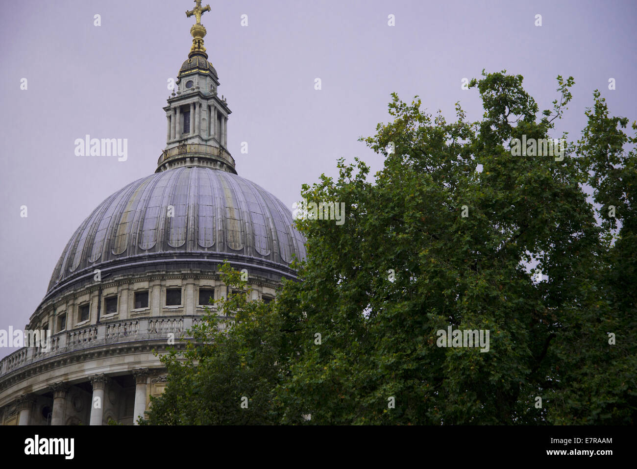 Septembre 2014 : Angleterre : le dôme de Saint Paul's Cathedral, Londres, Angleterre Banque D'Images