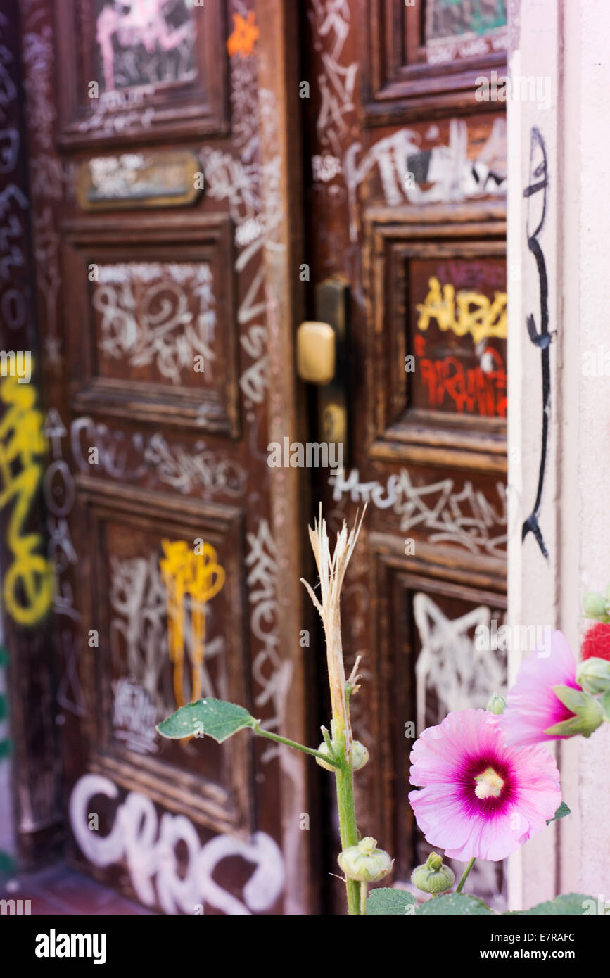 Une fleur fleurit en face d'une porte peinte en St Pauli de Hambourg. Banque D'Images
