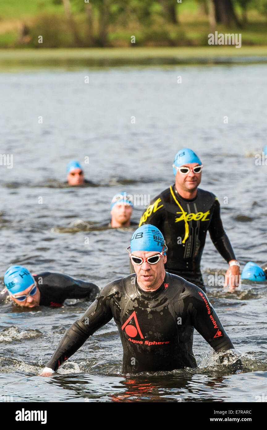 La triathlète sortant de l'étape de natation à l'événement du Nord Tri Brownlee à Harewood House 21 Septembre 2014 Banque D'Images