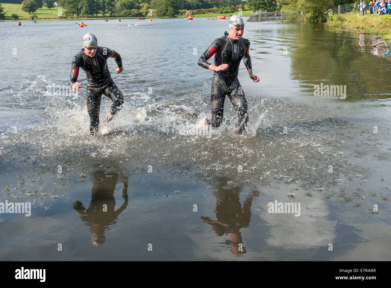 Frères Brownlee Brownlee à l'événement du Tri à Harewood House sortant de l'étape de natation en nage Banque D'Images