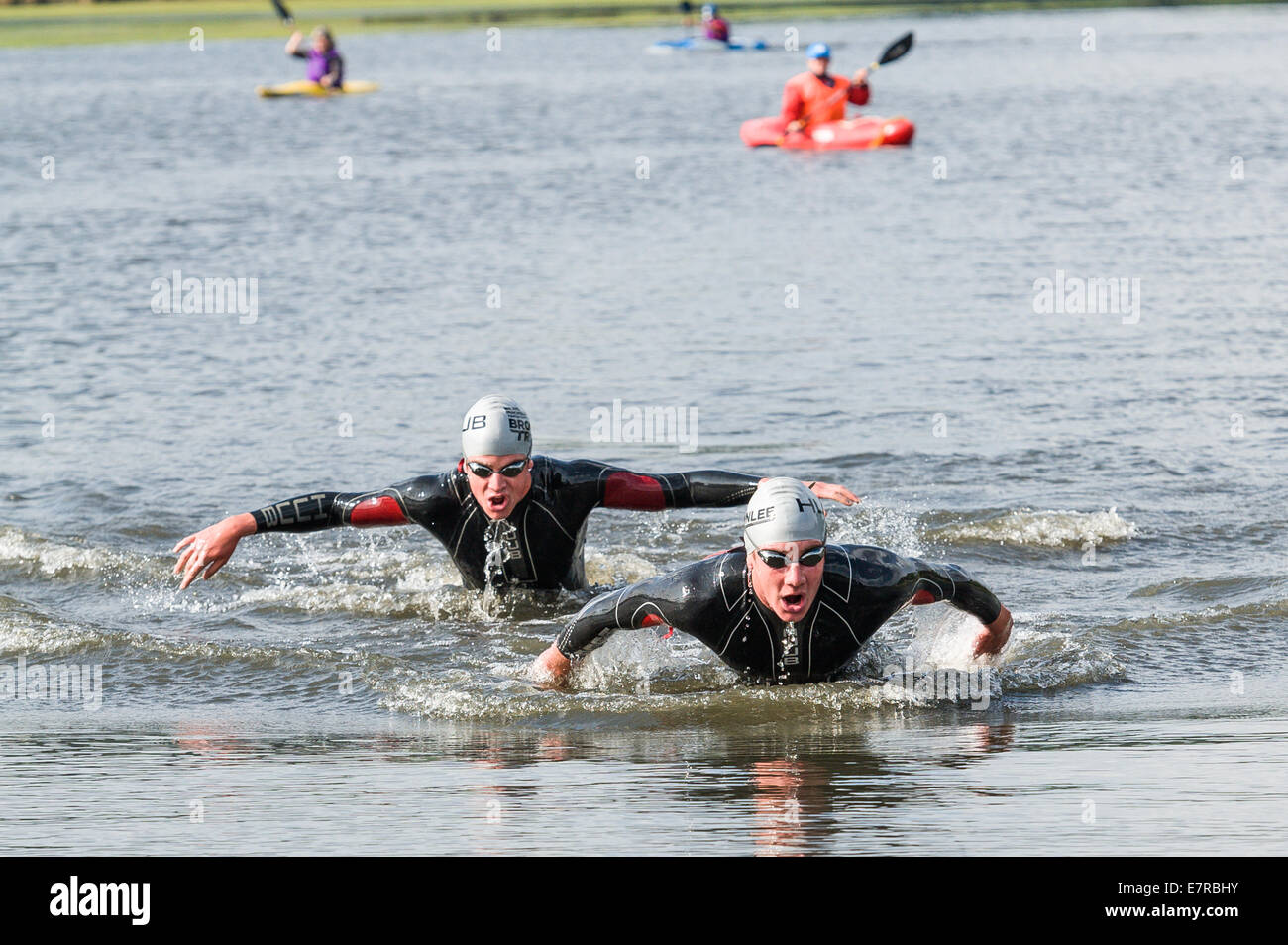 Frères Brownlee Brownlee à l'événement du Tri à Harewood House faisant la brasse papillon qu'ils terminent l'étape de natation Banque D'Images