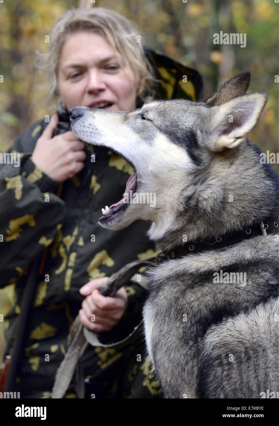 Région De Mourmansk En Russie Sep 20 2014 Un Chasseur à