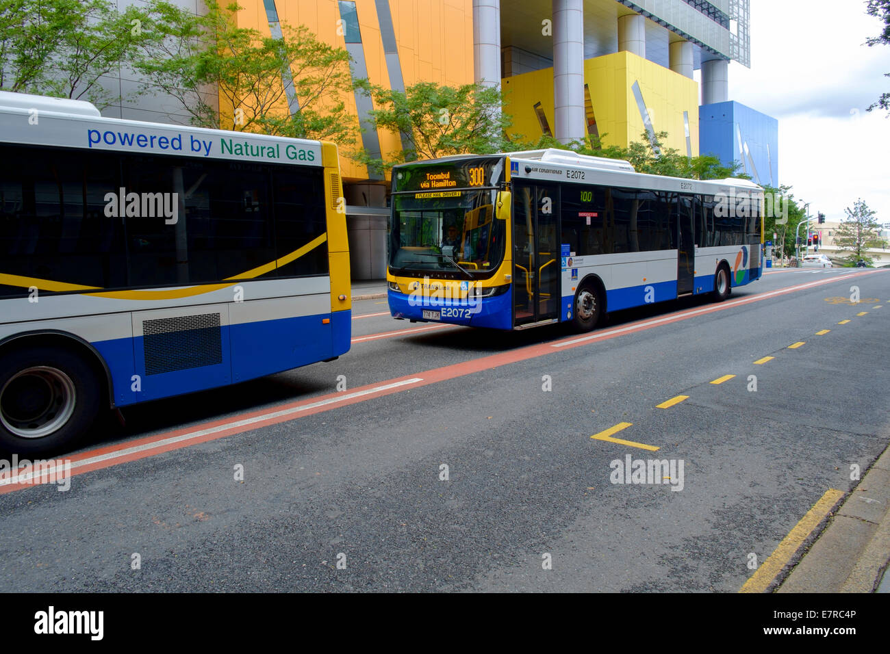 Bus Conseil Brisbane Banque D'Images