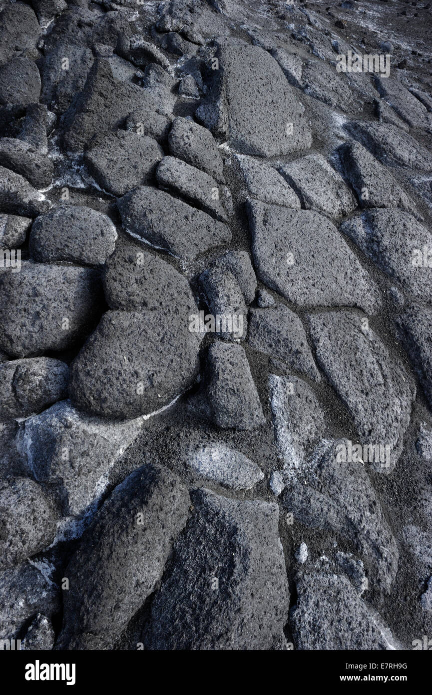 Les roches volcaniques close-up, mer de Ross, cap Royds, Antarctique. Banque D'Images