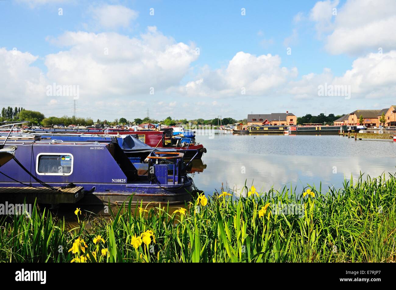 Narrowboats sur leurs amarres dans le bassin du canal, Barton Marina, Barton-under-Needwood, Staffordshire, Angleterre, Royaume-Uni, Europe. Banque D'Images