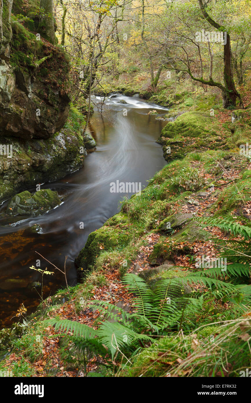 L'Aira Beck Ullswater, Lake District, Cumbria, Royaume-Uni Banque D'Images