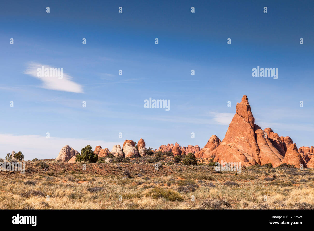 Devil's Garden, également connu sous le nom de Klondike Bluffs, Arches National Park, Utah. Banque D'Images