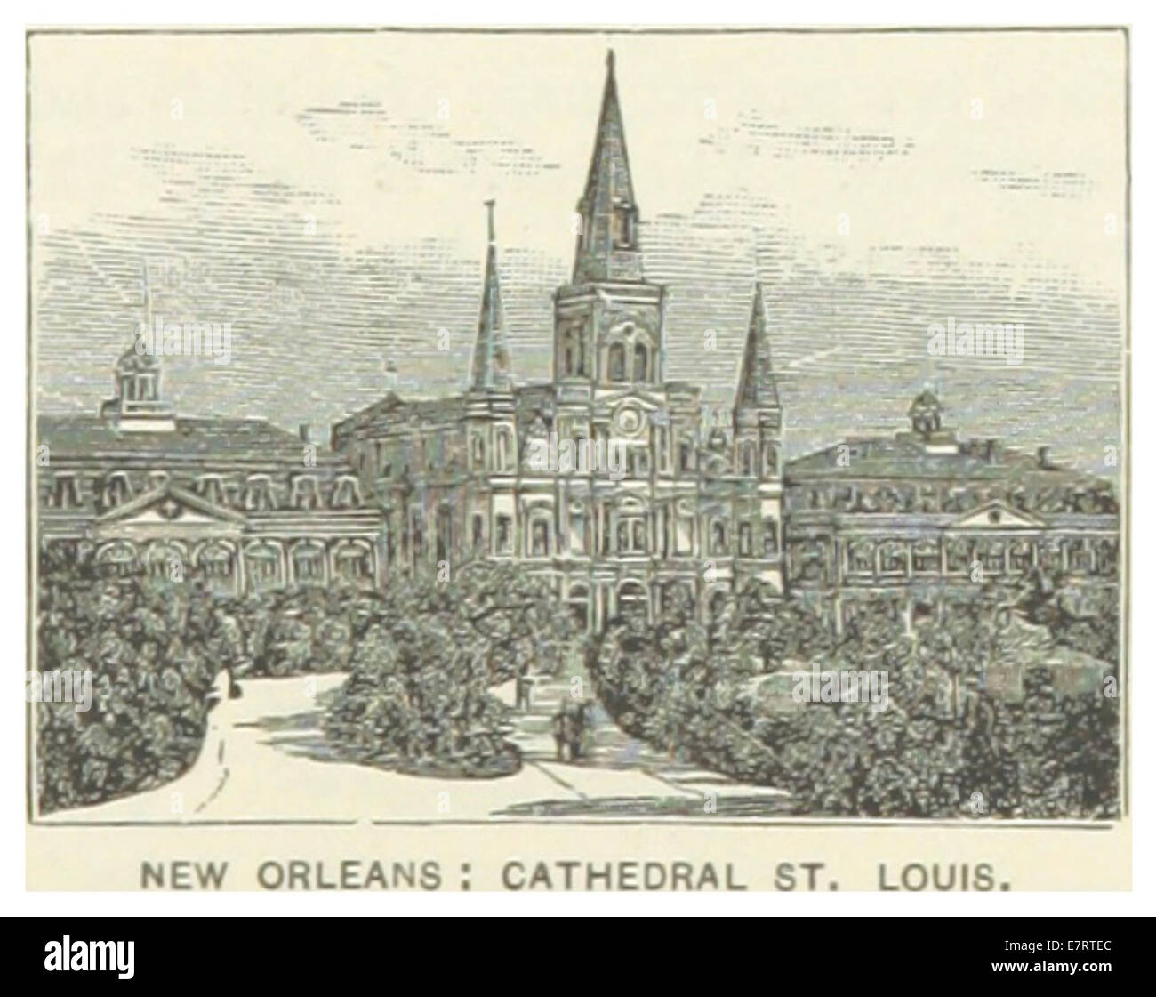 Cette illustration de 1891 met en valeur la cathédrale Louis de la Nouvelle-Orléans, un point de repère clé du quartier français. L'œuvre met en valeur l'architecture néo-gothique de la cathédrale et son rôle central dans la vie culturelle et religieuse de la ville. Banque D'Images