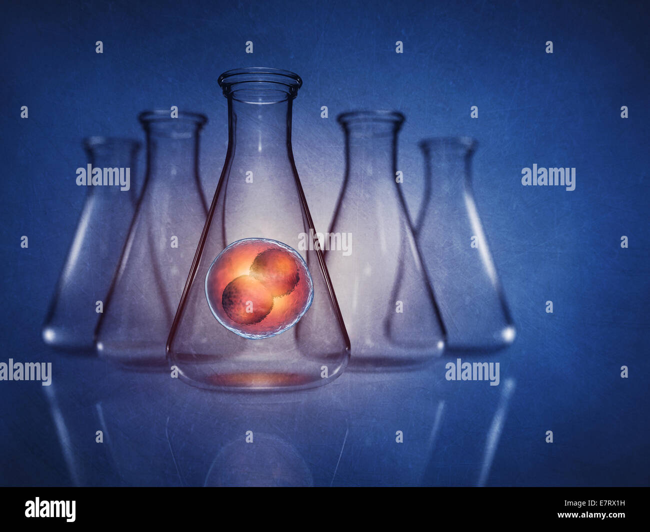 Dans l'embryon à deux cellules flacon de laboratoire sur fond bleu , illustration détaillée Banque D'Images