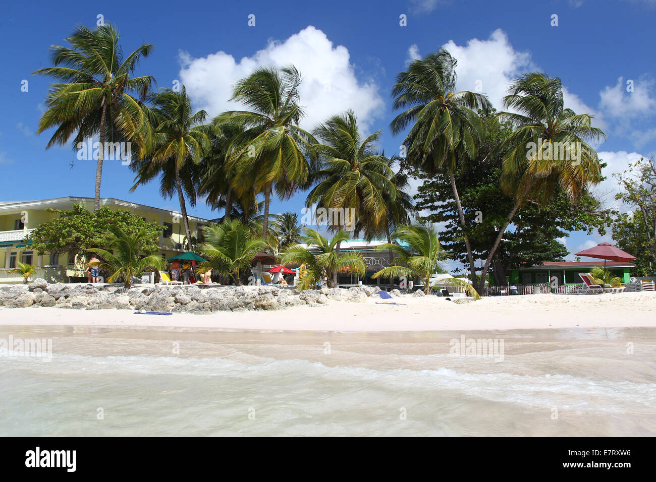 Plage des Caraïbes, les palmiers, le sable, les cocotiers, le ciel bleu Banque D'Images