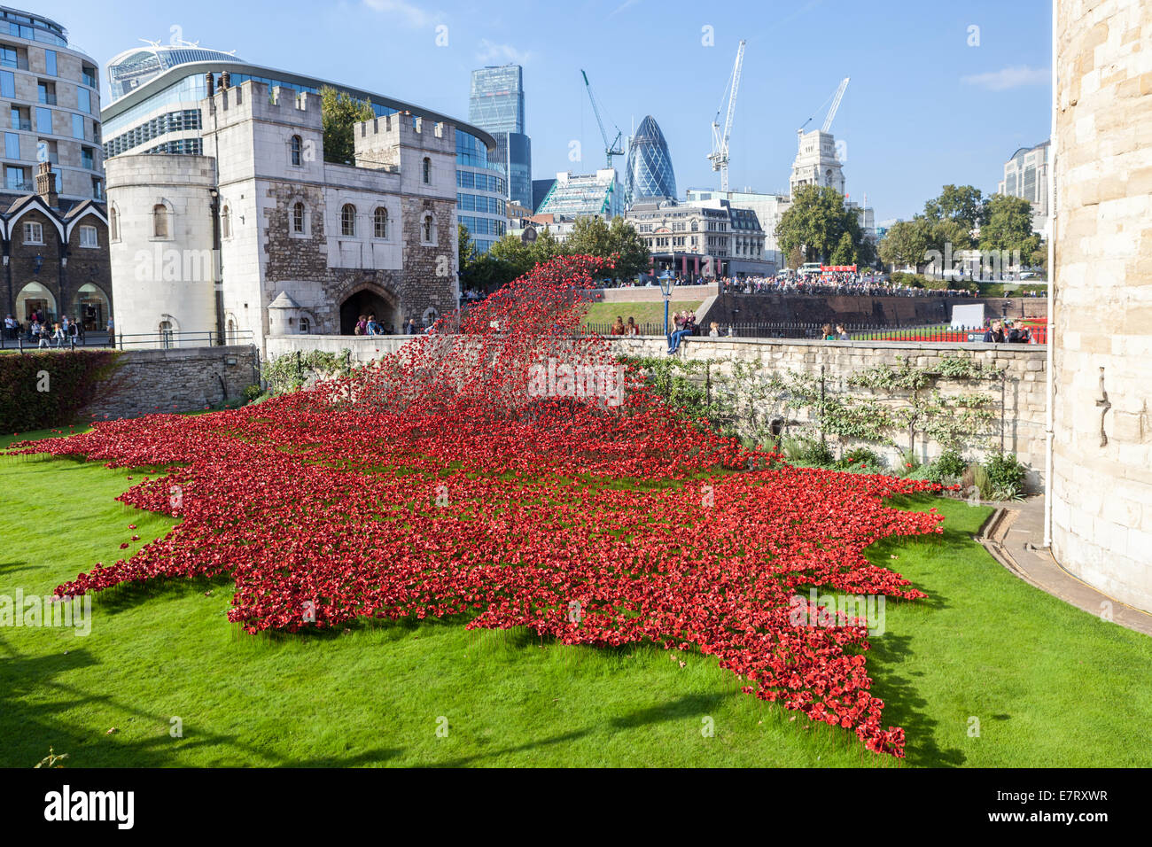 Coquelicots rouges en céramique créer un 'champ du sang' pour commémorer le centenaire de la première guerre mondiale à la Tour de Londres. Banque D'Images