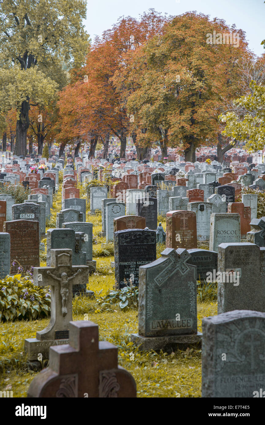 Des centaines de pierres tombales d'un cimetière à l'automne Banque D'Images