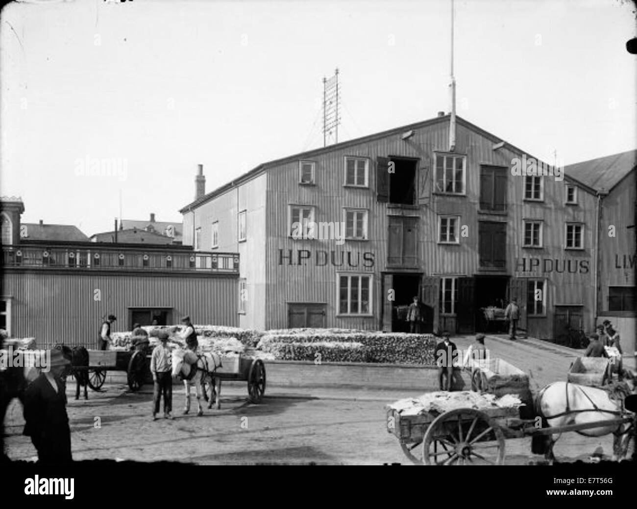 Cette photographie capture l'usine de transformation et d'emballage du poisson à Vesturgata 1 à Reykjavik, Islande, vers 1910. L'image montre un chariot tiré par des chevaux, des produits de la pêche et la scène animée de l'industrie du début du XXe siècle à Reykjavik, mettant en évidence l'économie de la pêche en Islande. Banque D'Images