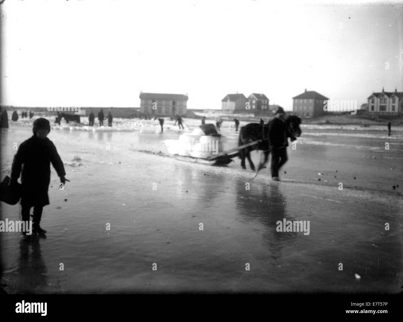Cette photographie de Reykjavik montre un cheval tirant un traîneau, prise entre 1909 et 1916. L'image donne un aperçu des moyens de transport utilisés en Islande pendant cette période, en particulier dans les zones rurales ou les mois d'hiver. Banque D'Images