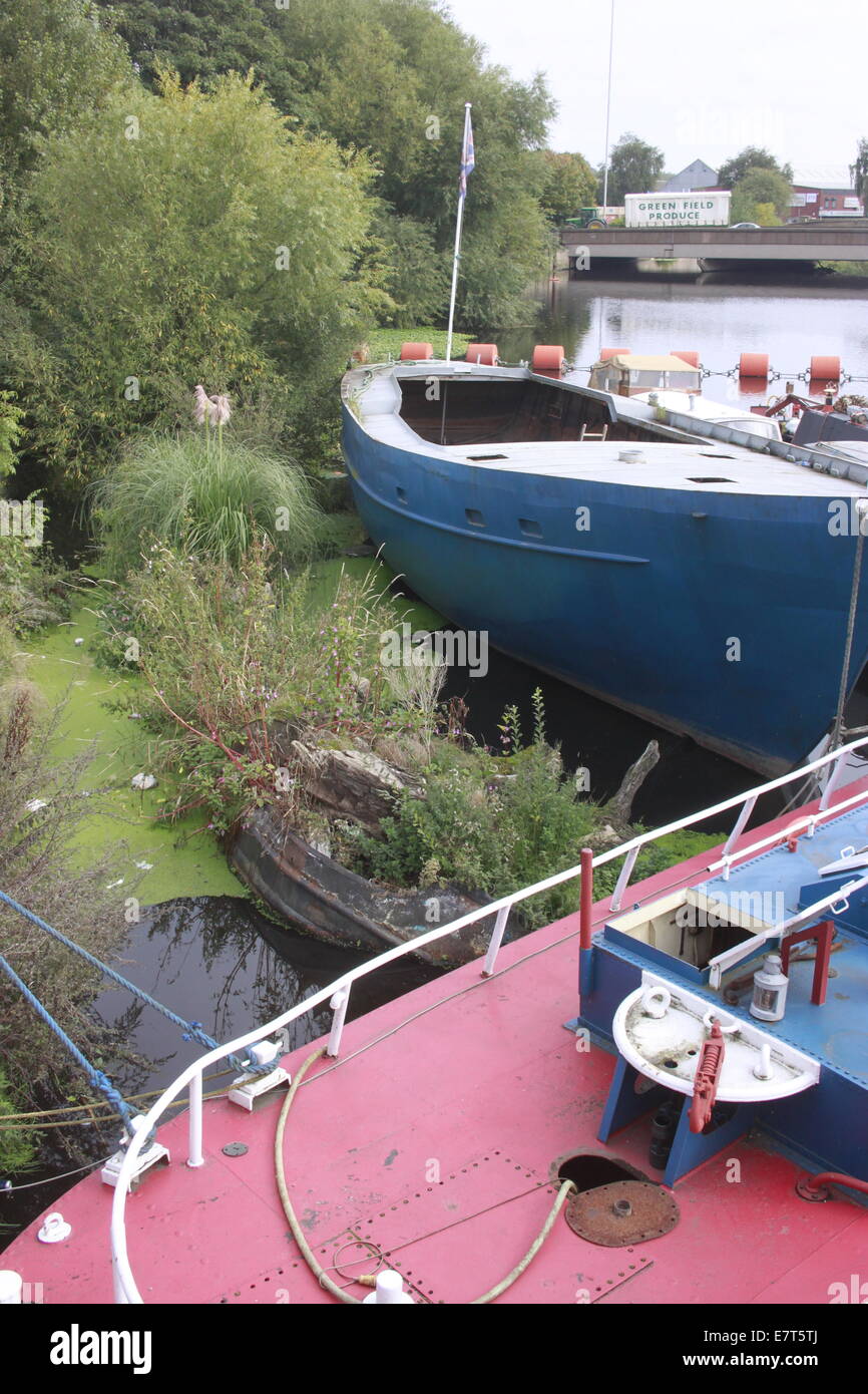 Bateau coulé/barge avec plantes poussant hors de lui en canal à Wakefield West Yorkshire. Eco recyclage Banque D'Images