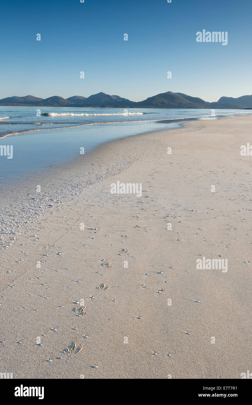 Les pistes d'oiseaux sur la plage de sable vide Luskentyre, Isle of Harris, Hébrides extérieures, en Écosse Banque D'Images