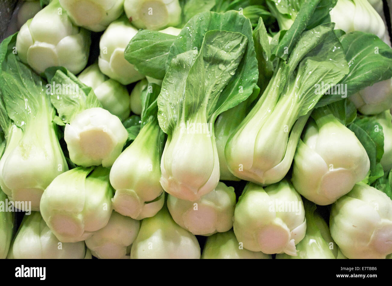 Le Bok Choy Stacked at Market Banque D'Images