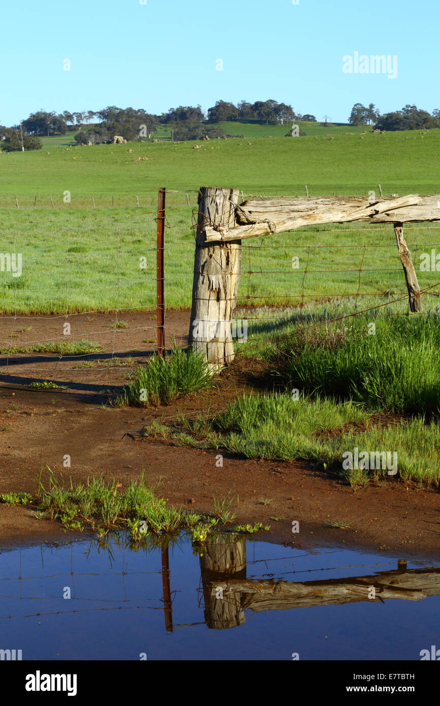 Poteaux de refléter dans une flaque d'eau éphémères dans une ferme à l'ouest de l'Australie. Banque D'Images