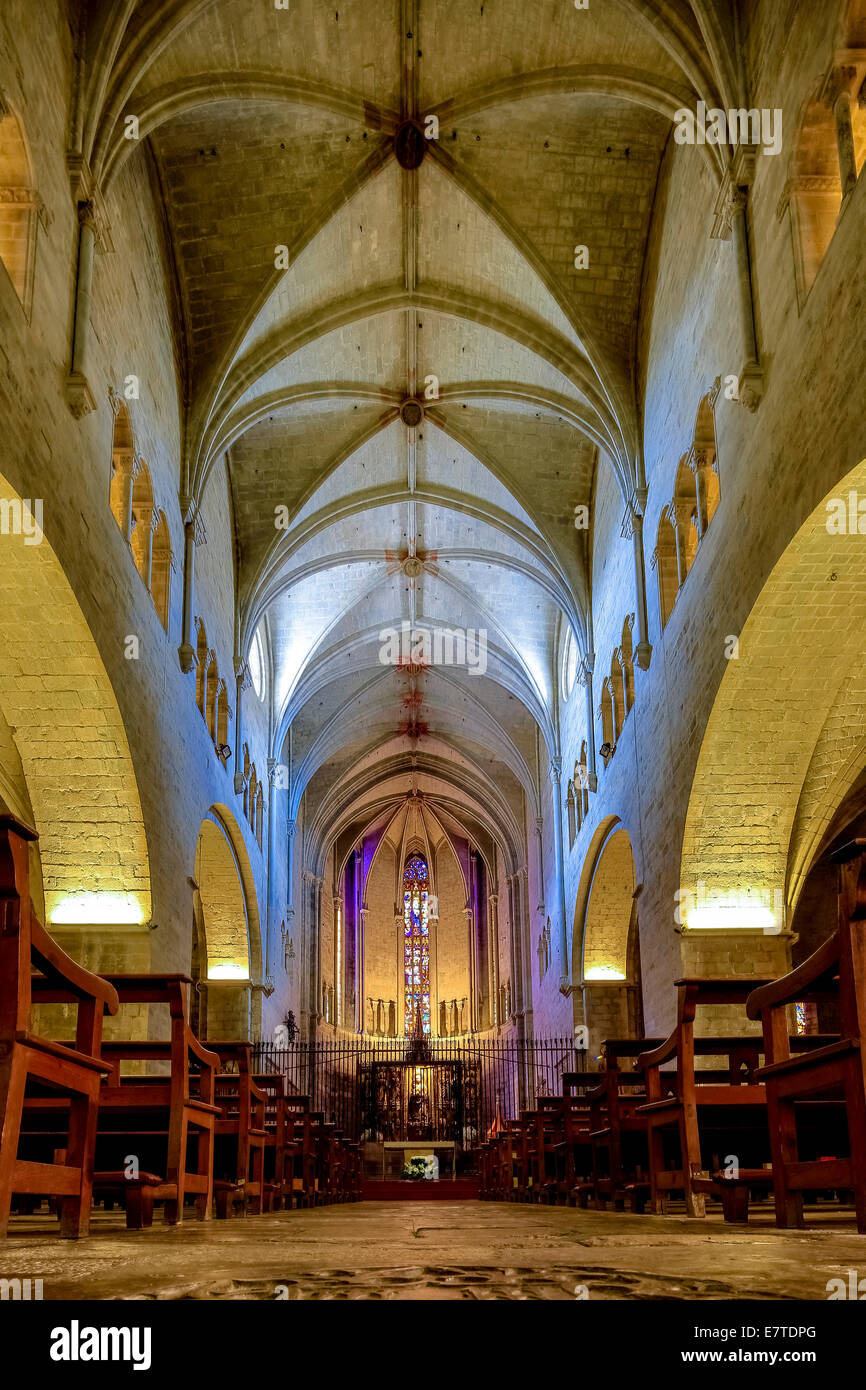Nef de l'église de Sant Feliu, Sant Felix, Gérone, Catalogne, Espagne Banque D'Images