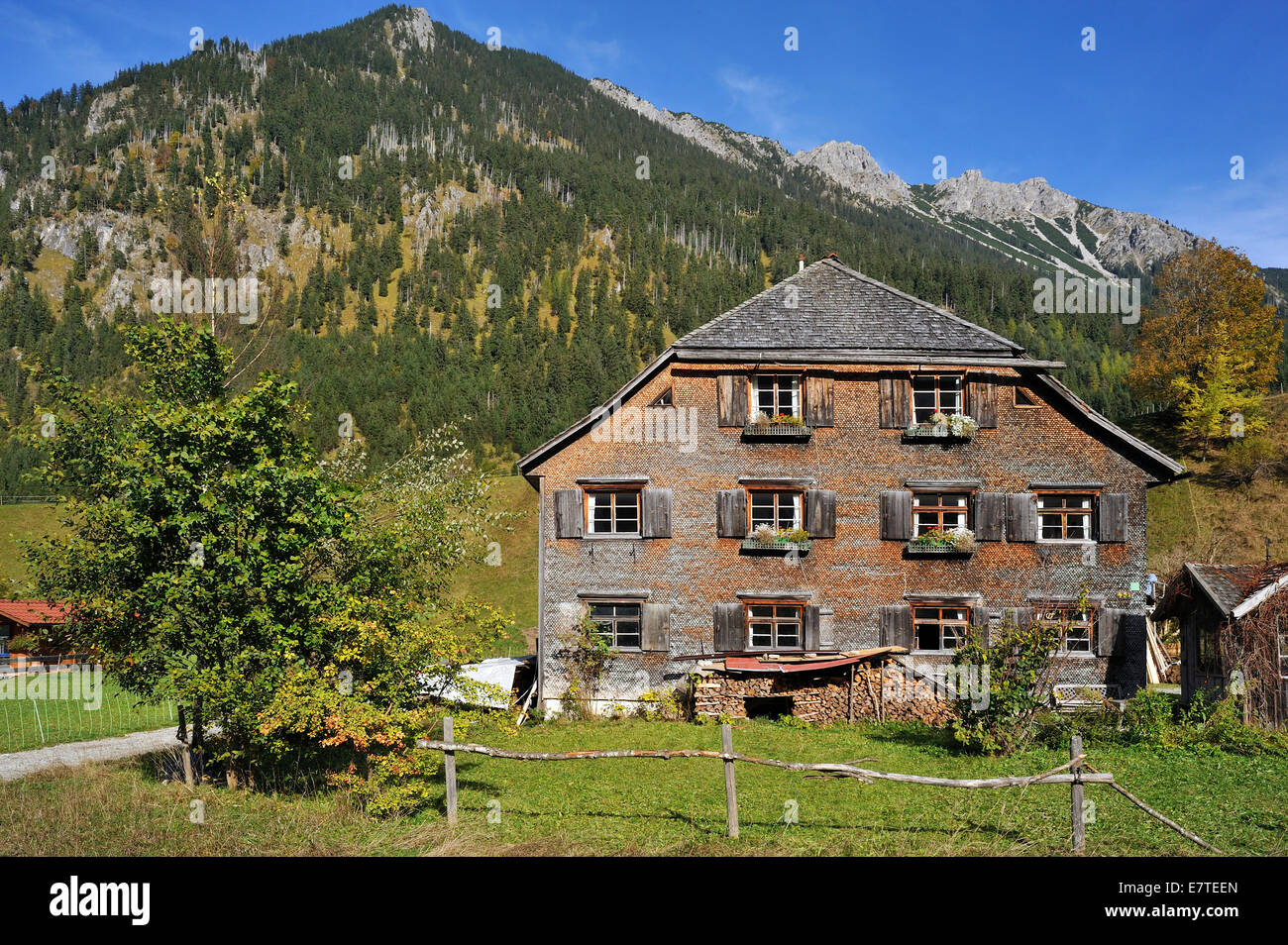 Ferme, 200 ans, avec une façade en bardeaux, maintenant une maison de vacances, Hinterstein, Oberallgäu, Bavière, Allemagne Banque D'Images