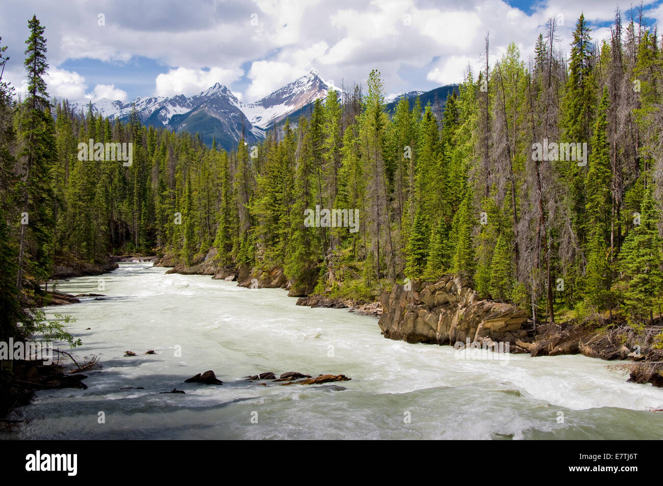 Pont naturel, vallée de la rivière Kicking Horse, parc national Yoho, Colombie-Britannique, Canada Banque D'Images