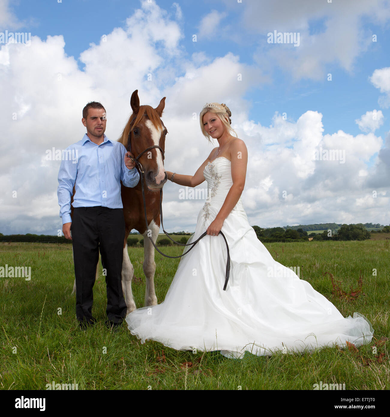 Mariée en robe de mariage avec cheval Banque D'Images