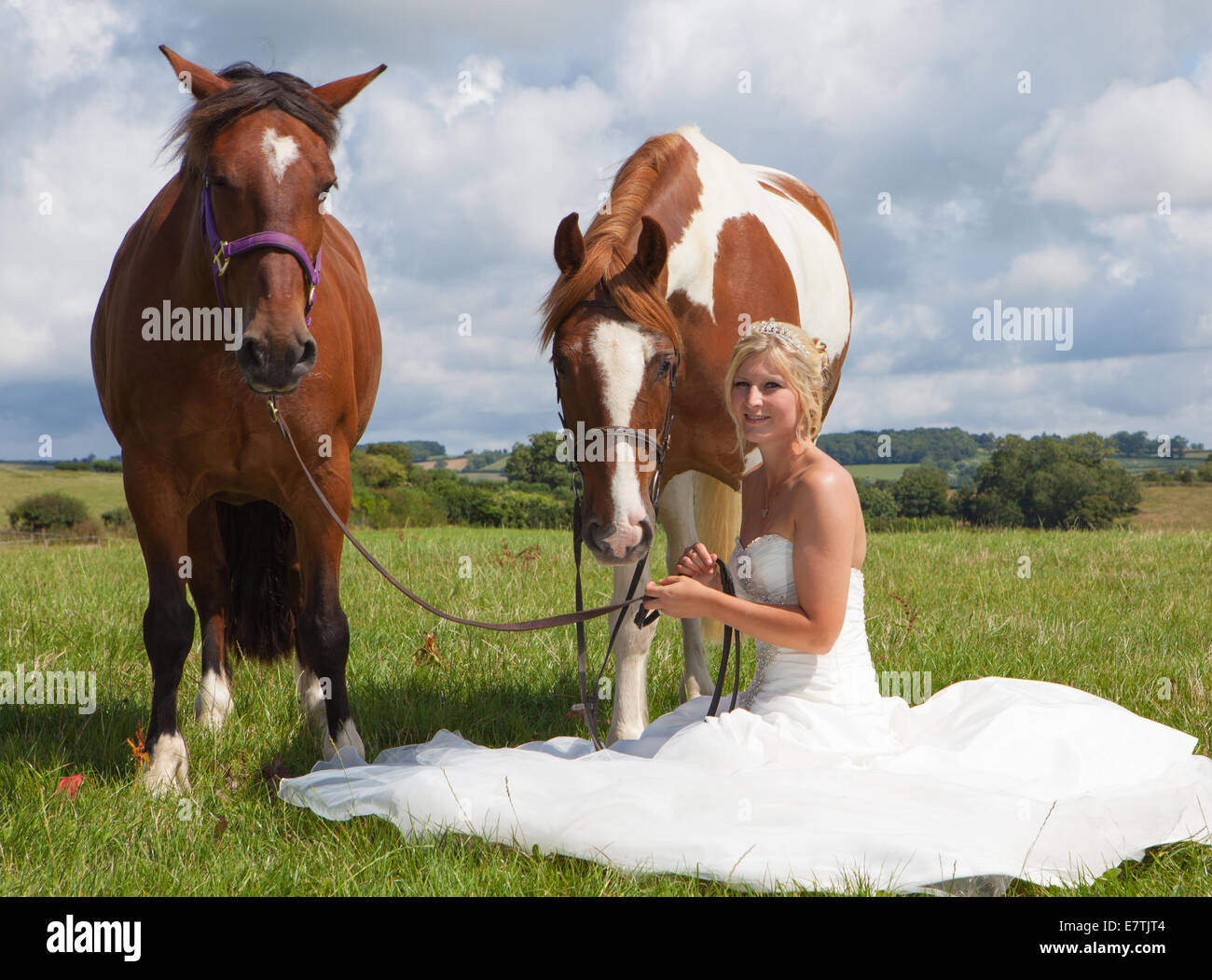 Mariée en robe de mariage avec cheval Banque D'Images