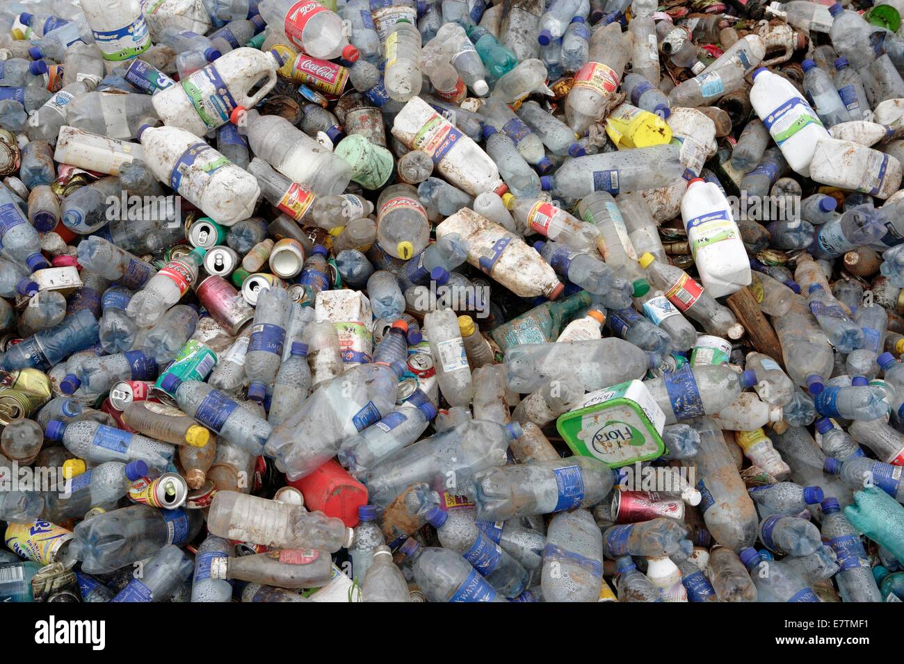 Les bouteilles en plastique et canettes de boisson pour le recyclage. Photographié à Grahamstown, Eastern Cape, Afrique du Sud. Banque D'Images