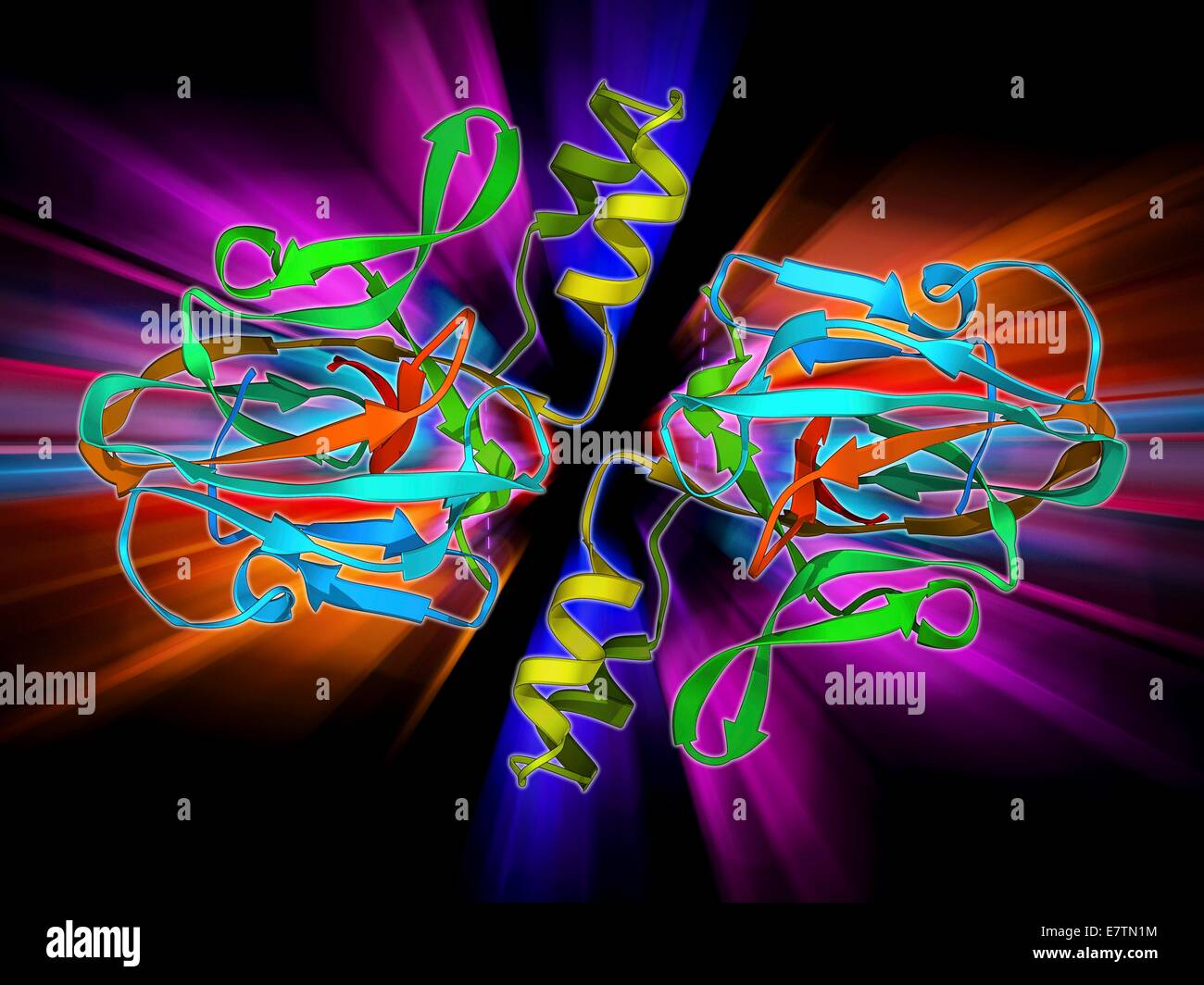 Segment Dna Molecule Banque De Photographies Et D’images à Haute Résolution Alamy