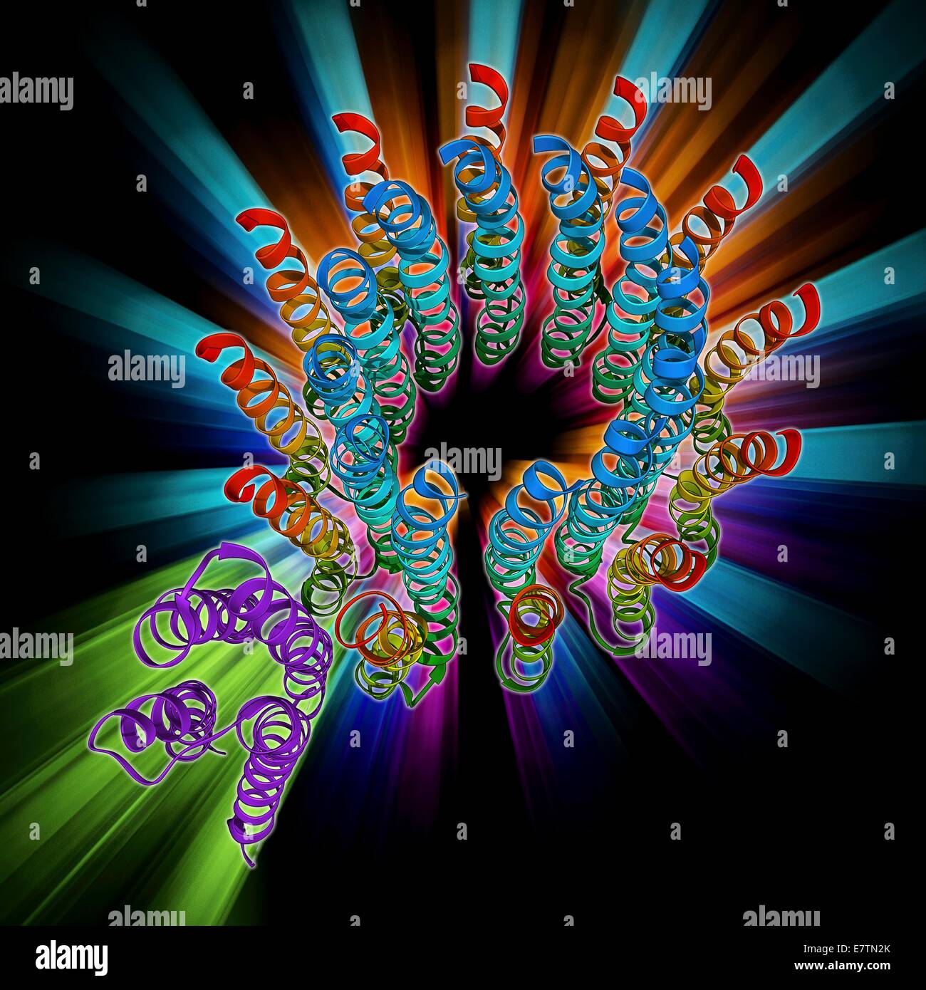 Molécule d'ATP synthase. Le modèle moléculaire montrant la structure de l'ATP synthase (ATPase) et une sous-unité C. ATPase est une enzyme importante qui fournit de l'énergie pour les cellules grâce à la synthèse de l'adénosine triphosphate (ATP) de l'adénosine diphosphate (ADP) et Banque D'Images