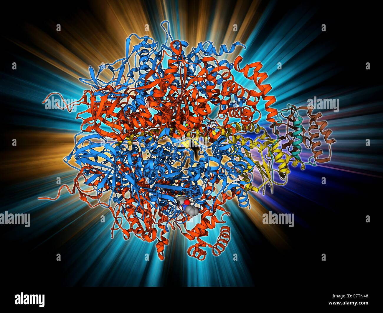 Molécule de l'ATPase. Le modèle moléculaire de la tige centrale d'une ATP synthase (ATPase) molécule d'une vache. ATPase est une enzyme importante qui fournit de l'énergie pour les cellules grâce à la synthèse de l'adénosine triphosphate (ATP) de l'adénosine diphosphate (ADP) et Banque D'Images